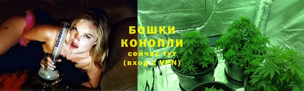 индика Осинники
