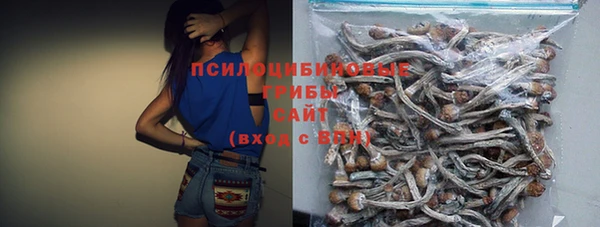 бошки Бородино
