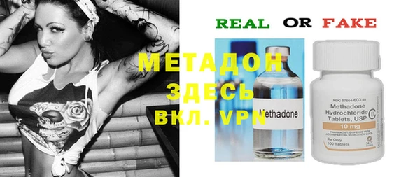 индика Осинники
