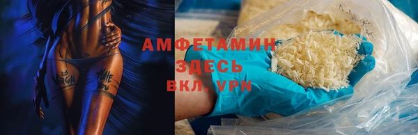 индика Осинники