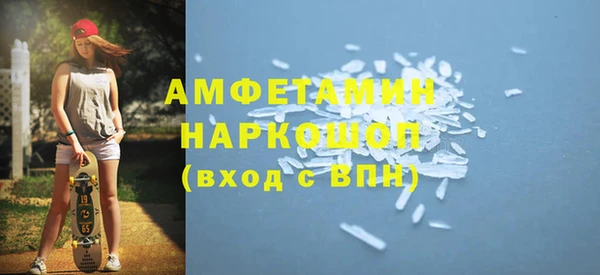 индика Осинники