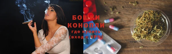 PSILOCYBIN Осташков