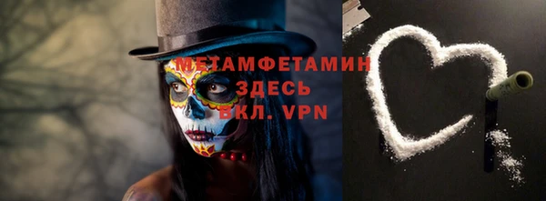 индика Осинники
