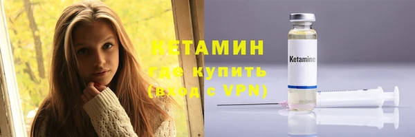 индика Осинники