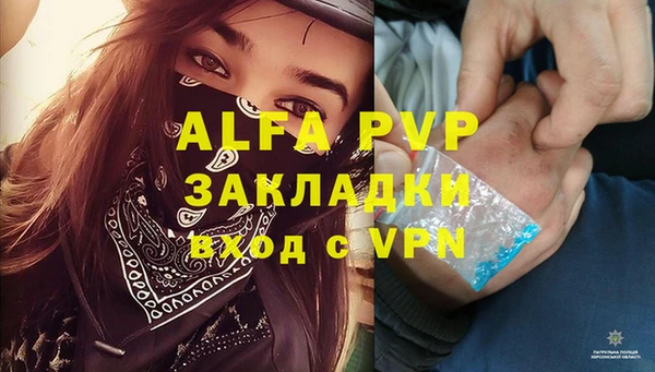 PSILOCYBIN Осташков