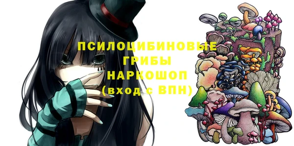 PSILOCYBIN Осташков