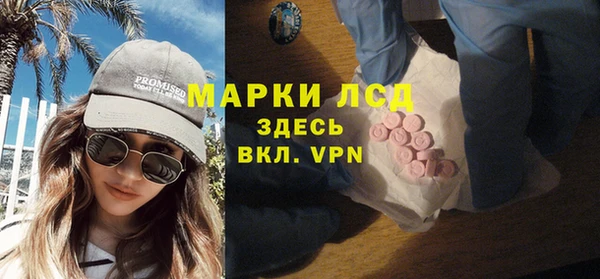 индика Осинники