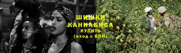 индика Осинники