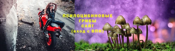 индика Осинники