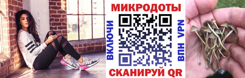 Галлюциногенные грибы прущие грибы  мега ONION  Ветлуга 