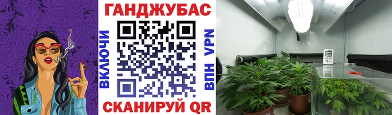 Шишки марихуана сатива Ветлуга